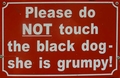 Please do not touch the black dog.jpg