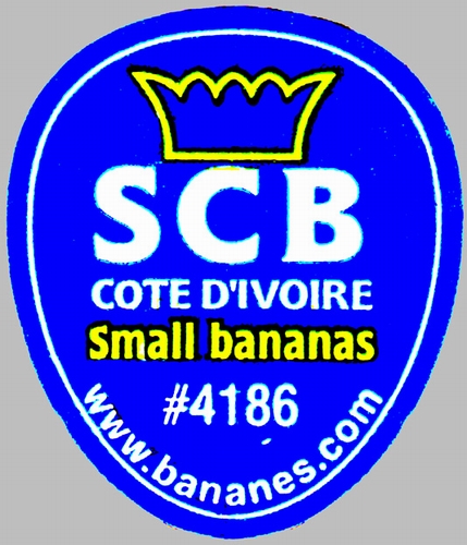 n_scb_cote_d_ivoire_small_bananas__4186.jpg