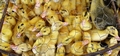 Barcelos market #145.jpg