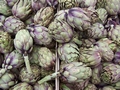 bettola_market_artichokes.jpg