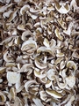 bettola_market_mushrooms.jpg