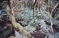 ferns #63.jpg