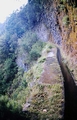 Levada #03.jpg