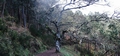 Tree #059.jpg