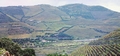 #40 Douro Valley.jpg