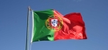 Portugese Flag #121.jpg