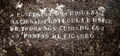 The forest is a national wealth. Protecting it is the duty of all of us. Be careful with cigarette butts #070.jpg