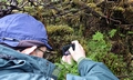 Bruce photographing Hymenophyllum wilsonii SM10 #01.jpg
