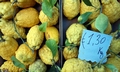 Randazzo market - lemons #C01.jpg