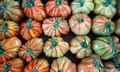 Randazzo market - tomatoes #E01.jpg