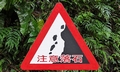 Sign Xinxian trail Wulai #B02.jpg