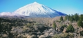 Mount Teide 53#.jpg