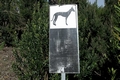 Dog hunting sign #182.jpg