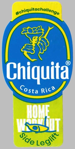 n_chiquita__costa_rica_home_workout_side_leglift.jpg