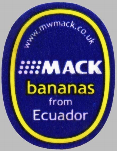 n_mack_bananas_from_ecuador.jpg