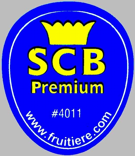 n_scb_premium__4011.jpg