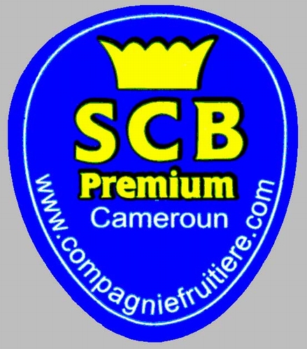 n_scb_premium_cameroun.jpg