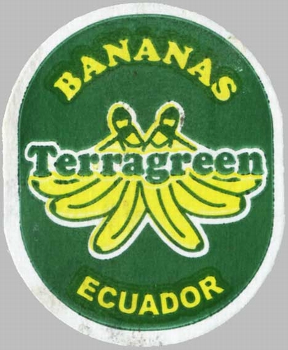 n_terragreen_bananas_equador.jpg