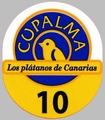 Cupalma Los platanos de Canarias 10.jpg