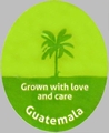 Grown with Love and care Guatemala.jpg