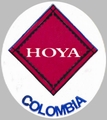 Hoya Columbia.jpg