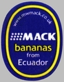 Mack bananas from Ecuador.jpg