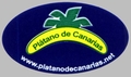 Platano de Canarias.jpg