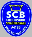 SCB Cote d'Ivoire small bananas #4186.jpg
