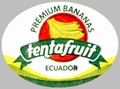 Tentafruit Premium Bananas Ecuador.jpg