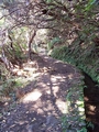 Levada do Caldeir�o Verde (PR9) #177.jpg
