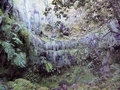 Levada do Caldeir�o Verde (PR9) #179.jpg
