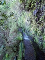 Levada do Caldeir�o Verde (PR9) #183.jpg