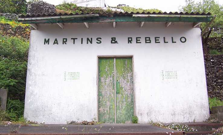 martins_a_rebel.jpg