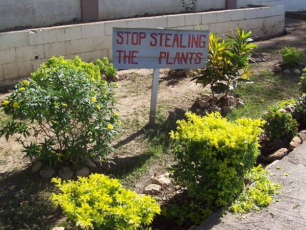 stop_stealing_the_plants.jpg
